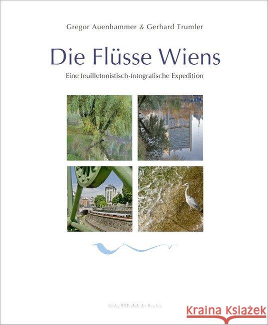 Die Flüsse Wiens Auenhammer, Gregor 9783990284698 Bibliothek der Provinz - książka