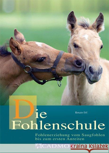 Die Fohlenschule : Fohlenerziehung vom Saugfohlen bis zum ersten Anreiten Ettl, Renate 9783840410772 Cadmos - książka