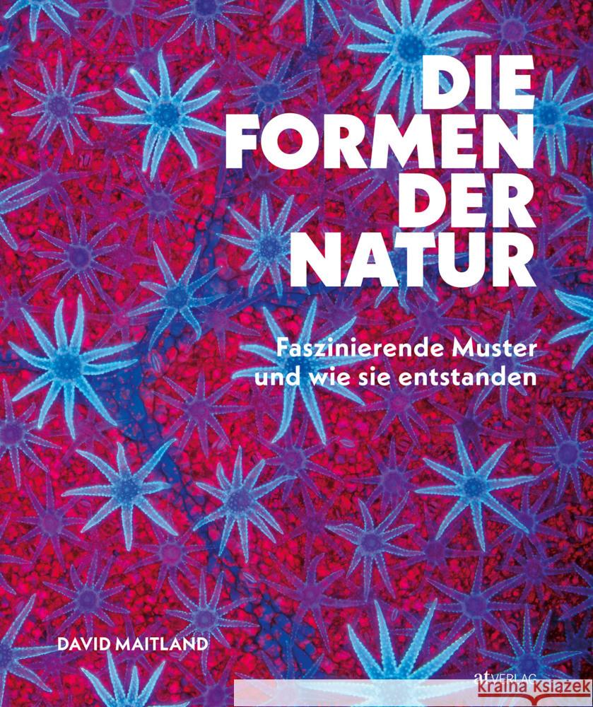Die Formen der Natur Maitland, David 9783039022830 AT Verlag - książka
