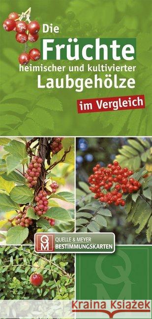 Die Früchte heimischer und kultivierter Laubgehölze im Vergleich  9783494015545 Quelle & Meyer - książka