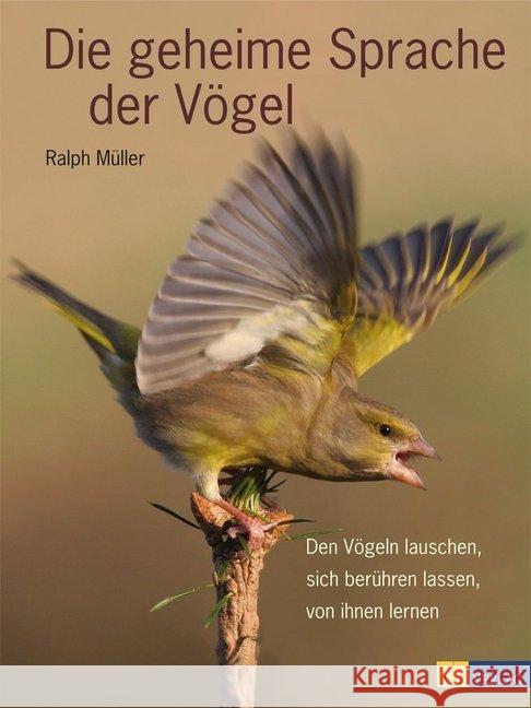 Die geheime Sprache der Vögel : Den Vögeln lauschen, sich berühren lassen, von ihnen lernen Müller, Ralph   9783038004882 AT-Verlag - książka