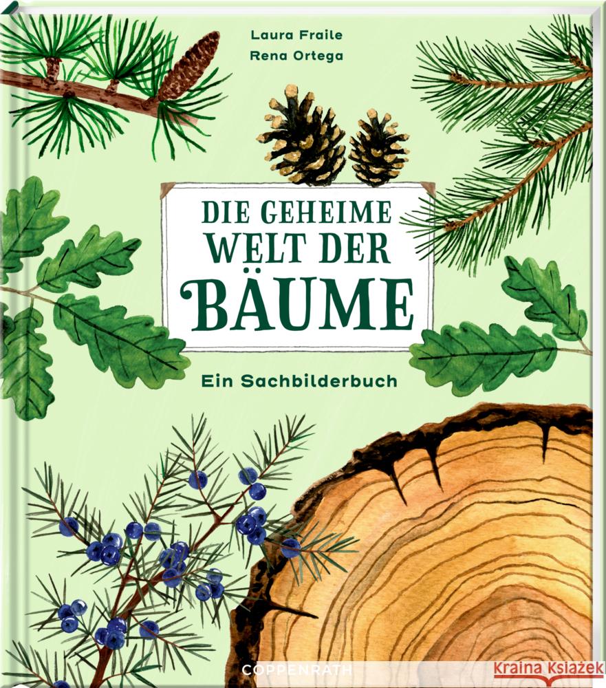Die geheime Welt der Bäume Fraile, Laura 9783649647270 Coppenrath, Münster - książka