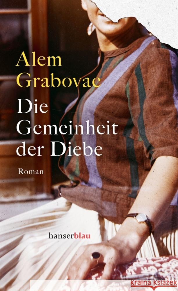 Die Gemeinheit der Diebe Grabovac, Alem 9783446279384 hanserblau - książka