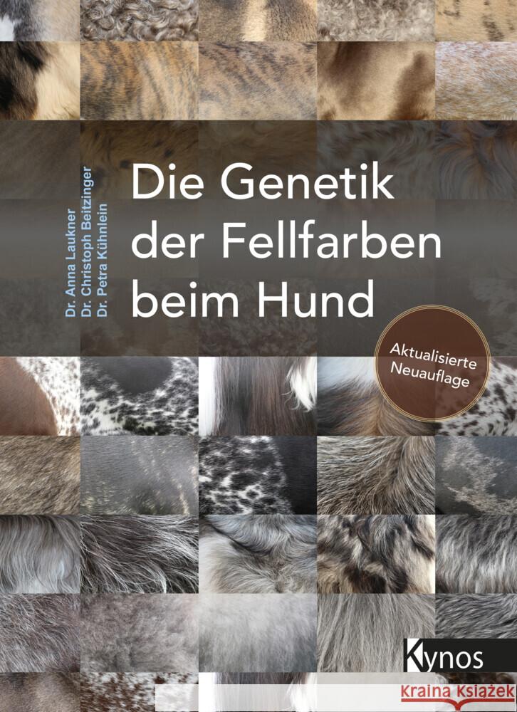 Die Genetik der Fellfarben beim Hund Laukner, Dr. Anna, Beitzinger, Dr. Christoph, Kühnlein, Dr. Petra 9783954642618 Kynos - książka