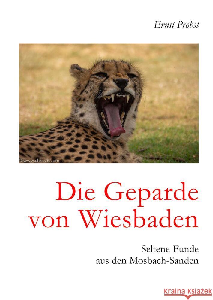 Die Geparde von Wiesbaden Probst, Ernst 9783384533913 tredition - książka