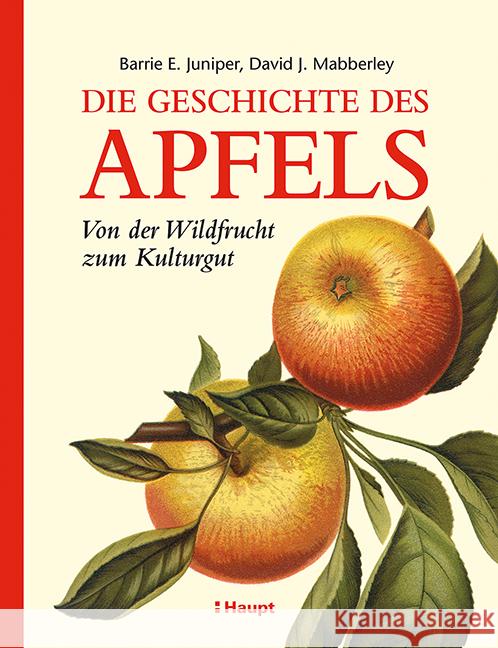 Die Geschichte des Apfels Juniper, Barrie E., Mabberley, David J. 9783258082646 Haupt - książka