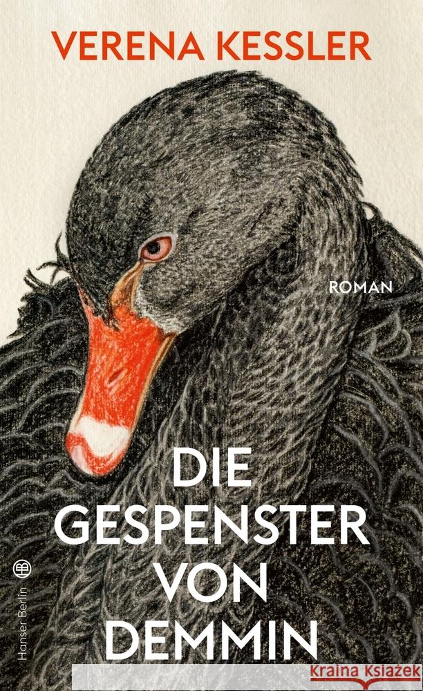 Die Gespenster von Demmin Keßler, Verena 9783446267848 Hanser Berlin - książka