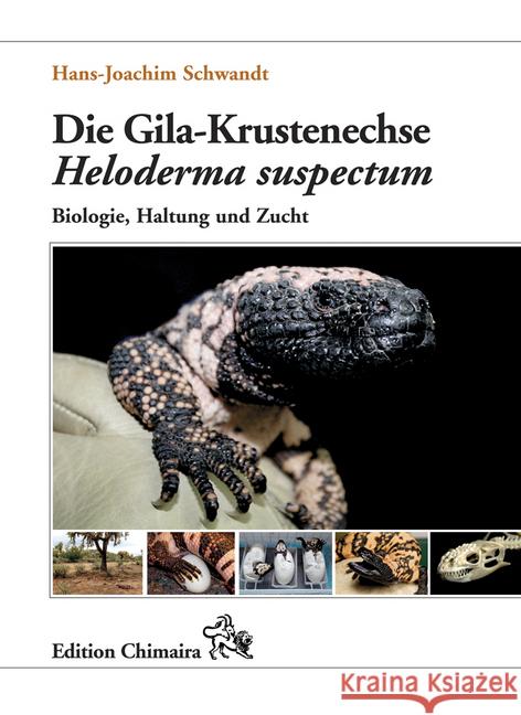 Die Gila-Krustenechse Heloderma suspectum. : Biologie, Haltung und Zucht Schwandt, Hans-Joachim 9783899734409 Chimaira - książka