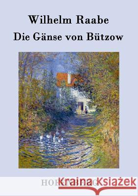Die Gänse von Bützow Wilhelm Raabe   9783843040334 Hofenberg - książka