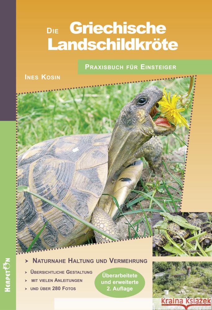 Die Griechische Landschildkröte Kosin, Ines 9783936180343 Herpeton - książka