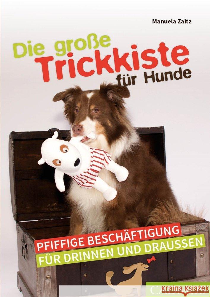 Die große Trickkiste für Hunde Zaitz, Manuela 9783840420610 Cadmos - książka