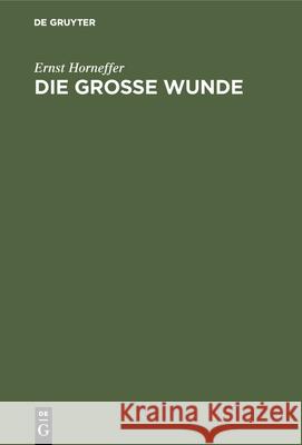 Die Große Wunde: Psychologische Betrachtungen Zum Verhältnis Von Kapital Und Arbeit Ernst Horneffer 9783486749298 Walter de Gruyter - książka