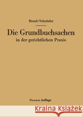 Die Grundbuchsachen in Der Gerichtlichen Praxis Arthur Brand Leo Schnitzler 9783642862779 Springer - książka