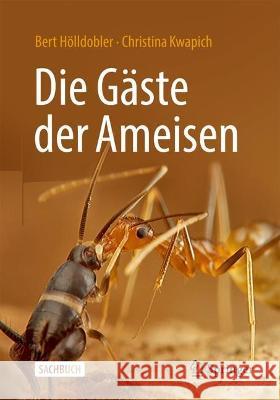 Die Gäste Der Ameisen: Wie Myrmecophile Mit Ihren Wirten Interagieren Hölldobler, Bert 9783662665251 Springer Spektrum - książka