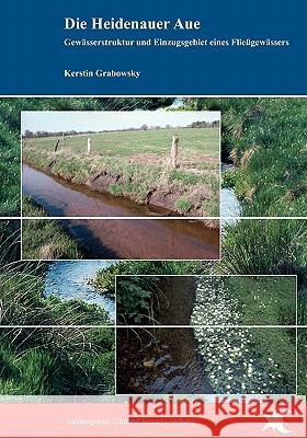 Die Heidenauer Aue: Gewässerstruktur und Einzugsgebiet eines Fließgewässers Kerstin Grabowsky, Edmund-Siemers-Stiftung 9783833466311 Books on Demand - książka