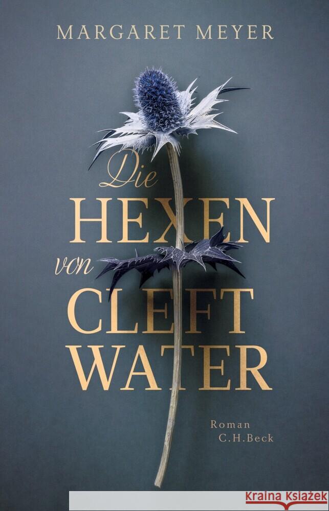 Die Hexen von Cleftwater Meyer, Margaret 9783406806865 Beck - książka