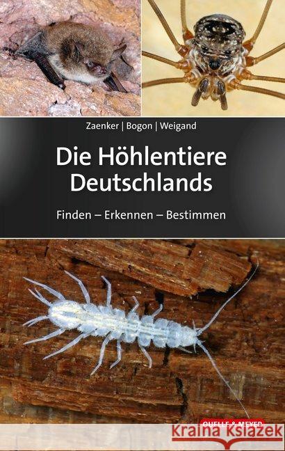 Die Höhlentiere Deutschlands : Finden - Erkennen - Bestimmen Zaenker, Stefan; Bogon, Klaus; Weigand, Alexander 9783494018317 Quelle & Meyer - książka