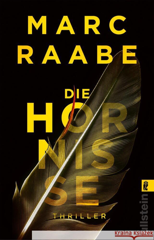 Die Hornisse Raabe, Marc 9783548064895 Ullstein TB - książka