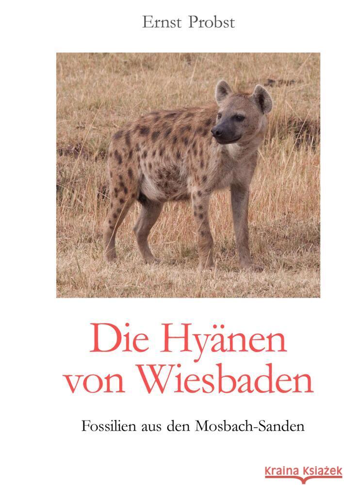 Die Hyänen von Wiesbaden Probst, Ernst 9783384479389 tredition - książka