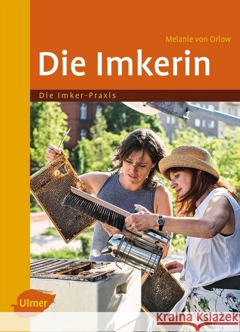 Die Imkerin Orlow, Melanie von 9783800108756 Verlag Eugen Ulmer - książka