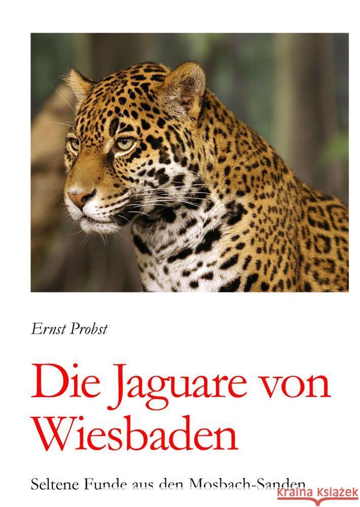 Die Jaguare von Wiesbaden Probst, Ernst 9783384505309 tredition - książka