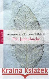 Die Judenbuche : Ein Sittengemälde aus dem gebirgichten Westfalen. Nachw.: Christian Begemann, Christian Droste-Hülshoff, Annette von 9783458362418 Insel Verlag - książka