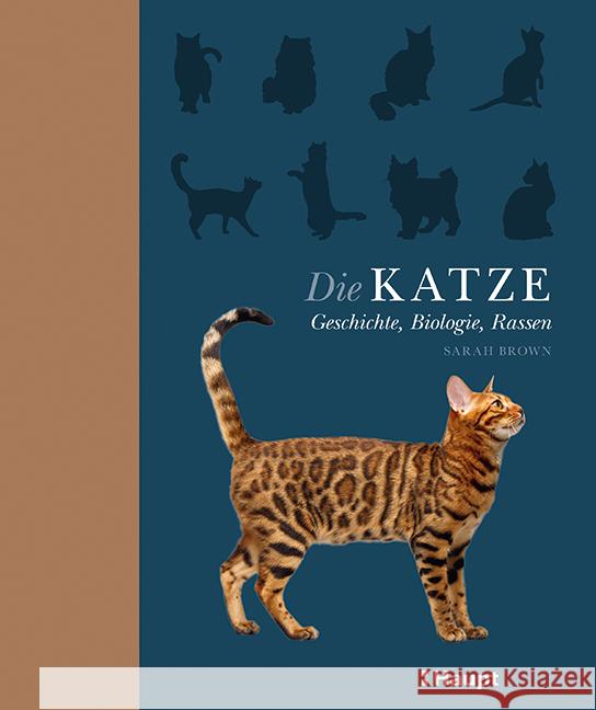 Die Katze Brown, Sarah 9783258081649 Haupt - książka