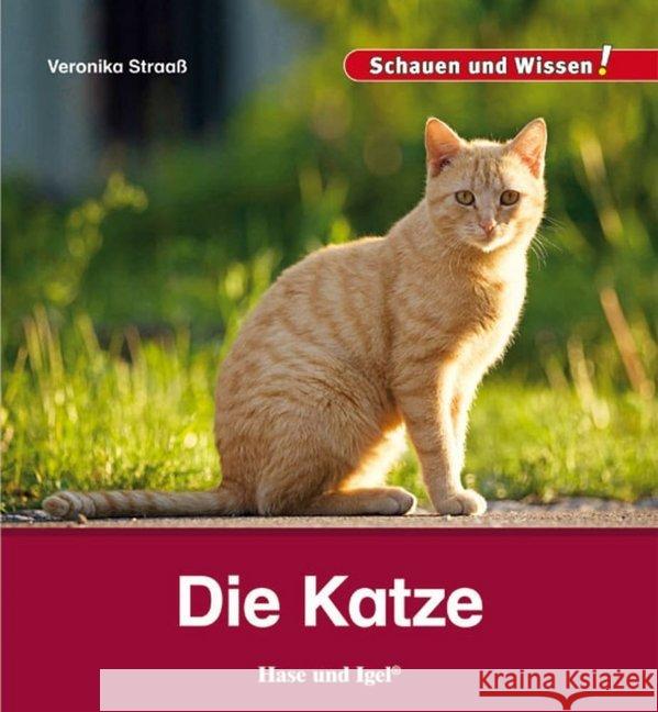 Die Katze Straaß, Veronika 9783867607810 Hase und Igel - książka