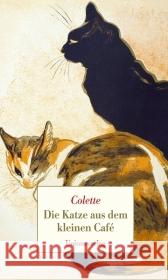 Die Katze aus dem kleinen Café Colette, Sidonie-Gabrielle 9783293004429 Unionsverlag - książka