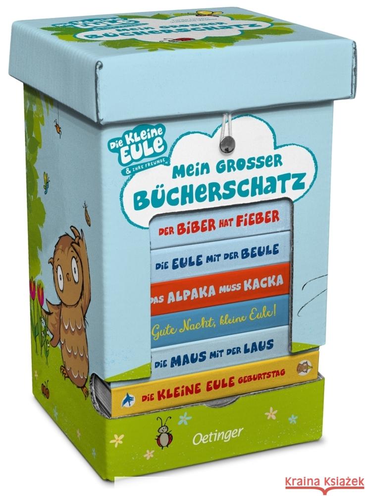 Die kleine Eule. Mein großer Bücherschatz Weber, Susanne 9783751202381 Oetinger - książka