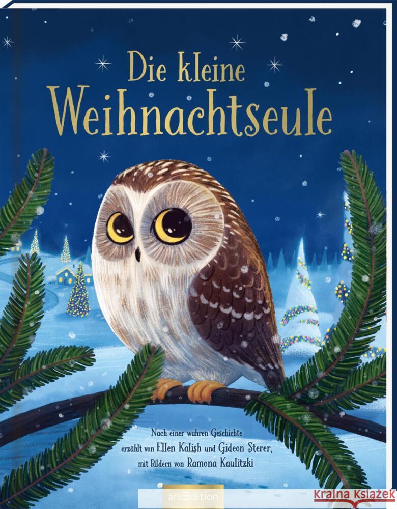 Die kleine Weihnachtseule Kalish, Ellen, Sterer, Gideon 9783845847986 ars edition - książka