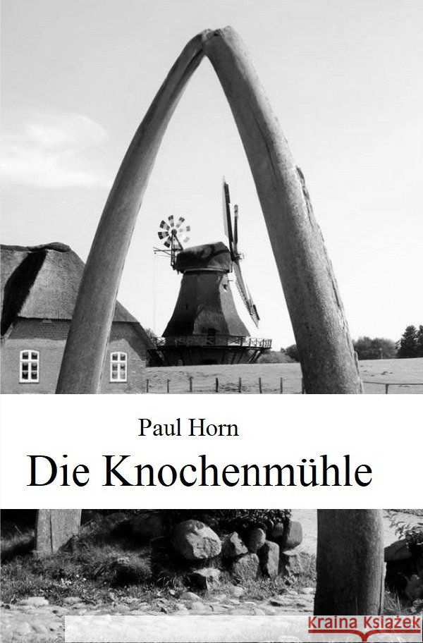 Die Knochenmühle Horn, Paul 9783752985375 epubli - książka