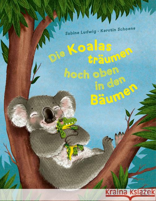 Die Koalas träumen hoch oben in den Bäumen Ludwig, Sabine 9783570177785 cbj - książka