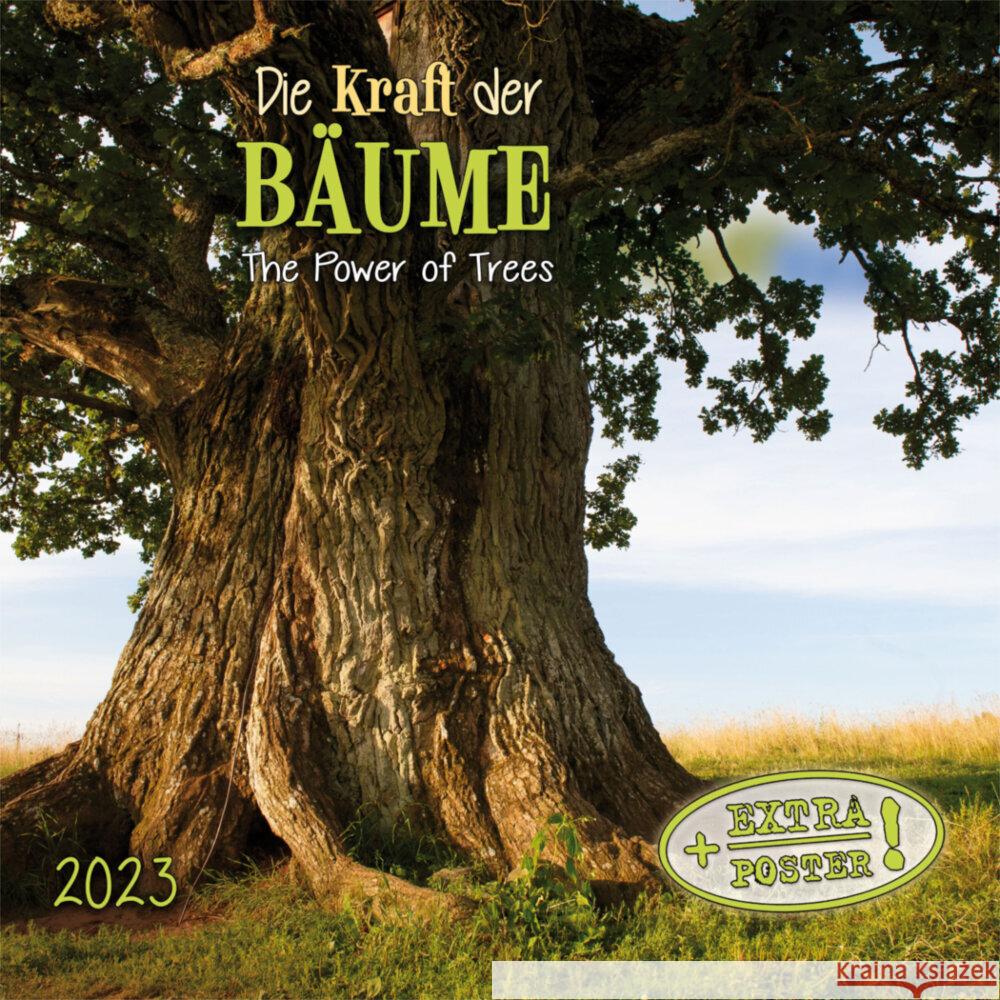 Die Kraft der Bäume 2023  9783959291316 Tushita - książka