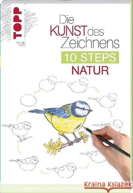 Die Kunst des Zeichnens 10 Steps - Natur : In 10 einfachen Schritten 60 Pflanzen & Tiere zeichnen Woodin, Mary 9783772483929 Frech - książka