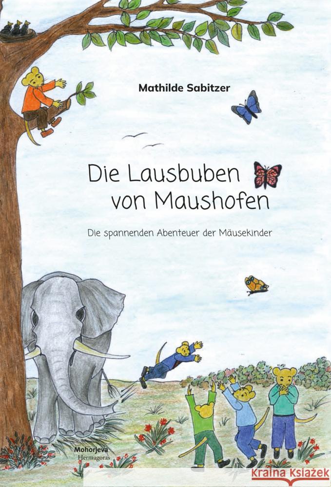 Die Lausbuben von Maushofen Sabitzer, Mathilde 9783708612515 Hermagoras - książka