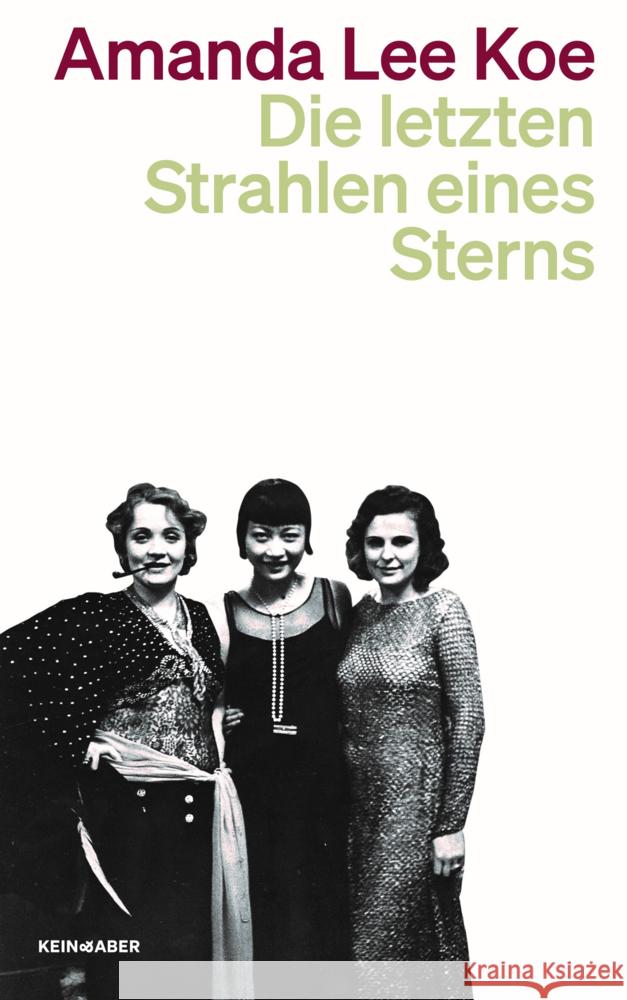 Die letzten Strahlen eines Sterns Koe, Amanda Lee 9783036961705 Kein & Aber - książka