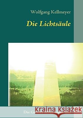 Die Lichtsäule: Geister leben unter uns!! Kellmeyer, Wolfgang 9783839113905  - książka