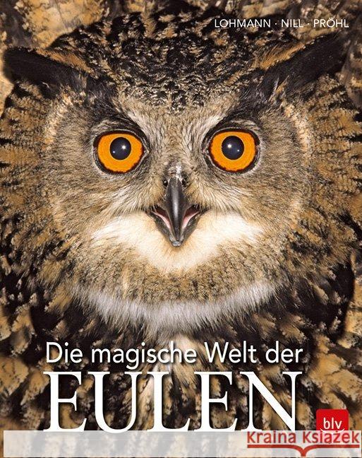 Die magische Welt der Eulen Lohmann, Michael; Nill, Dietmar; Pröhl, Torsten 9783835417083 BLV Buchverlag - książka