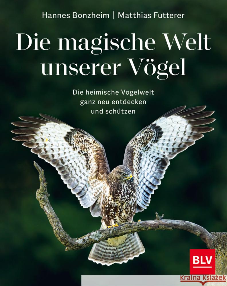 Die magische Welt unserer Vögel Bonzheim, Hannes, Futterer, Matthias 9783967470796 BLV Buchverlag - książka