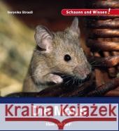 Die Maus Straaß, Veronika 9783867607612 Hase und Igel - książka