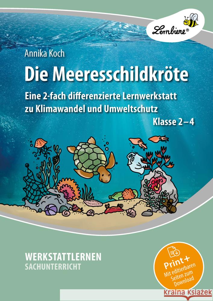 Die Meeresschildkröte Koch, Annika 9783746811123 Lernbiene Verlag - książka