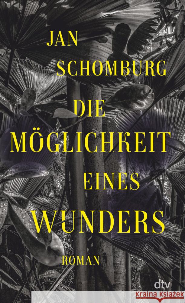 Die Möglichkeit eines Wunders Schomburg, Jan 9783423290180 DTV - książka