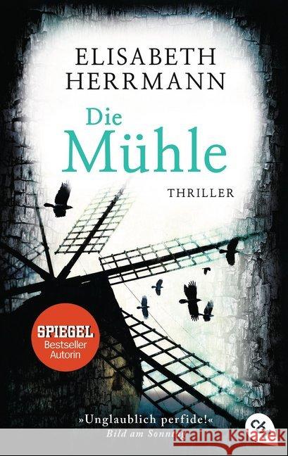 Die Mühle Herrmann, Elisabeth 9783570311929 cbt - książka