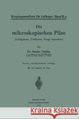 Die Mikroskopischen Pilze: Ustilagineen, Uredineen, Fungi Imperfecti Lindau, Gustav 9783662240366 Springer - książka