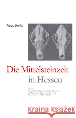 Die Mittelsteinzeit in Hessen Ernst Probst 9798724639613 Independently Published - książka