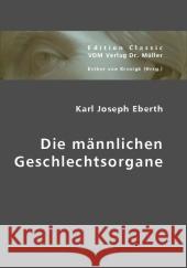 Die männlichen Geschlechtsorgane Eberth, Karl J. 9783836437844 VDM Verlag Dr. Müller - książka