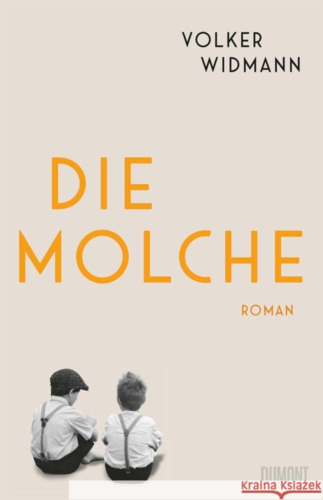 Die Molche Widmann, Volker 9783832181727 DuMont Buchverlag Gruppe - książka