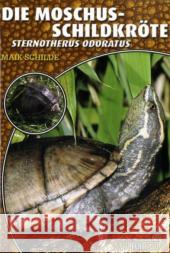 Die Moschusschildkröte : Sternotherus odoratus Schilde, Maik   9783937285344 Natur und Tier-Verlag - książka