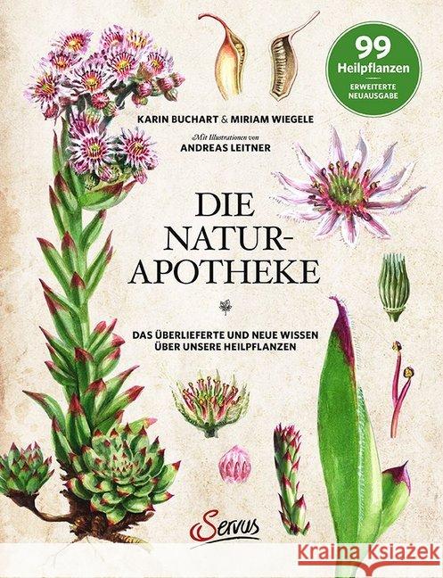 Die Natur-Apotheke : Das überlieferte und neue Wissen über unsere Heilpflanzen. 99 Heilpflanzen Buchart, Karin; Wiegele, Miriam 9783710401718 Servus - książka